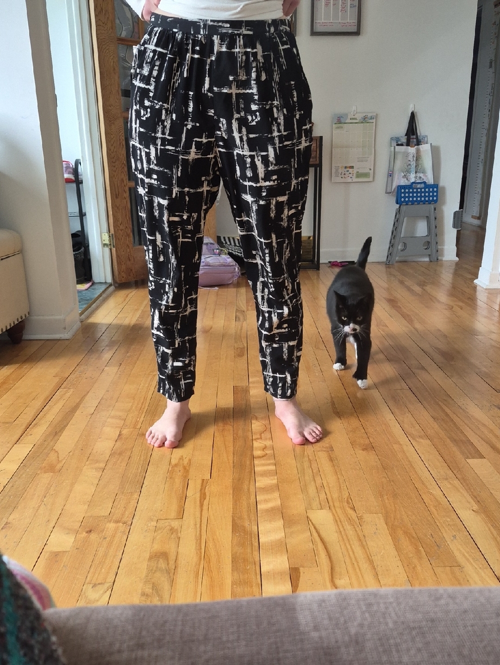 Black & White Abstract Print  Pants